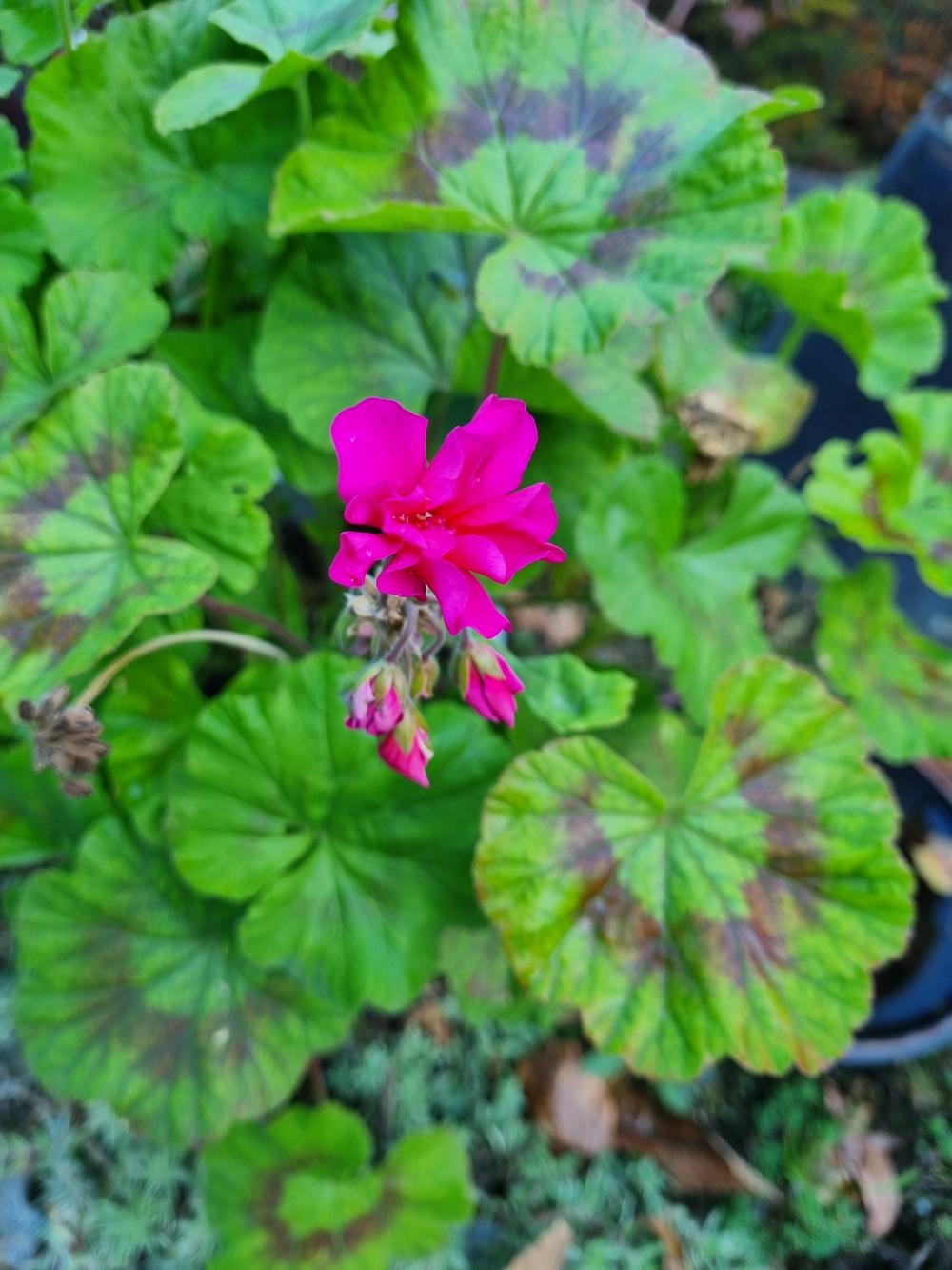 기도터 후기 사진