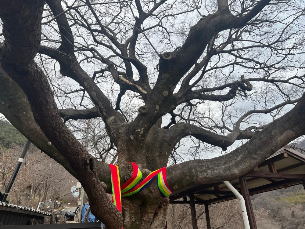 기도터 사진
