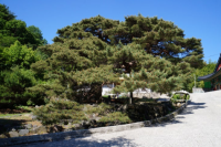 기도터 사진