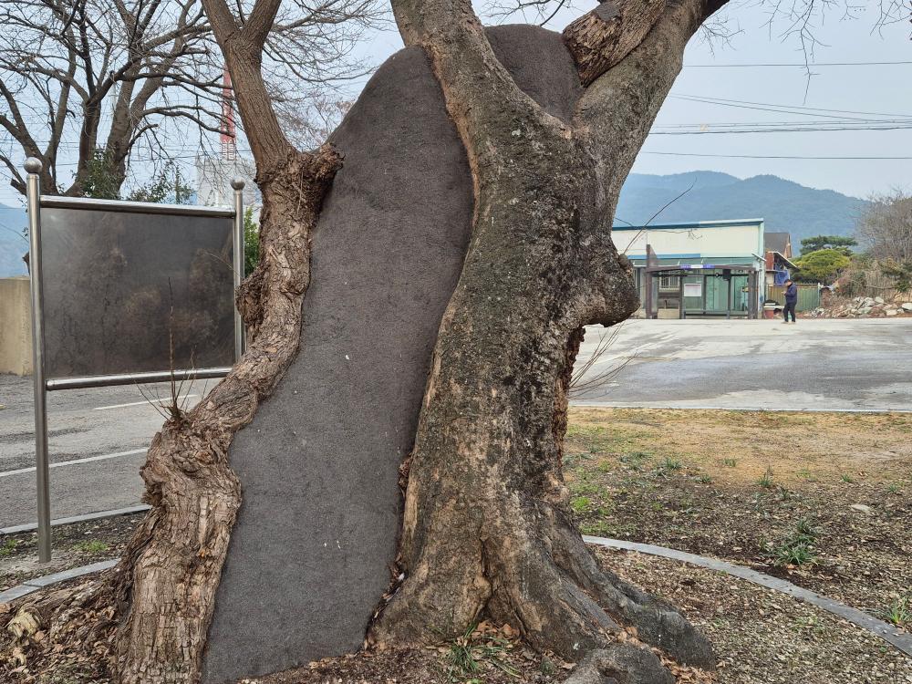 기도터 후기 사진
