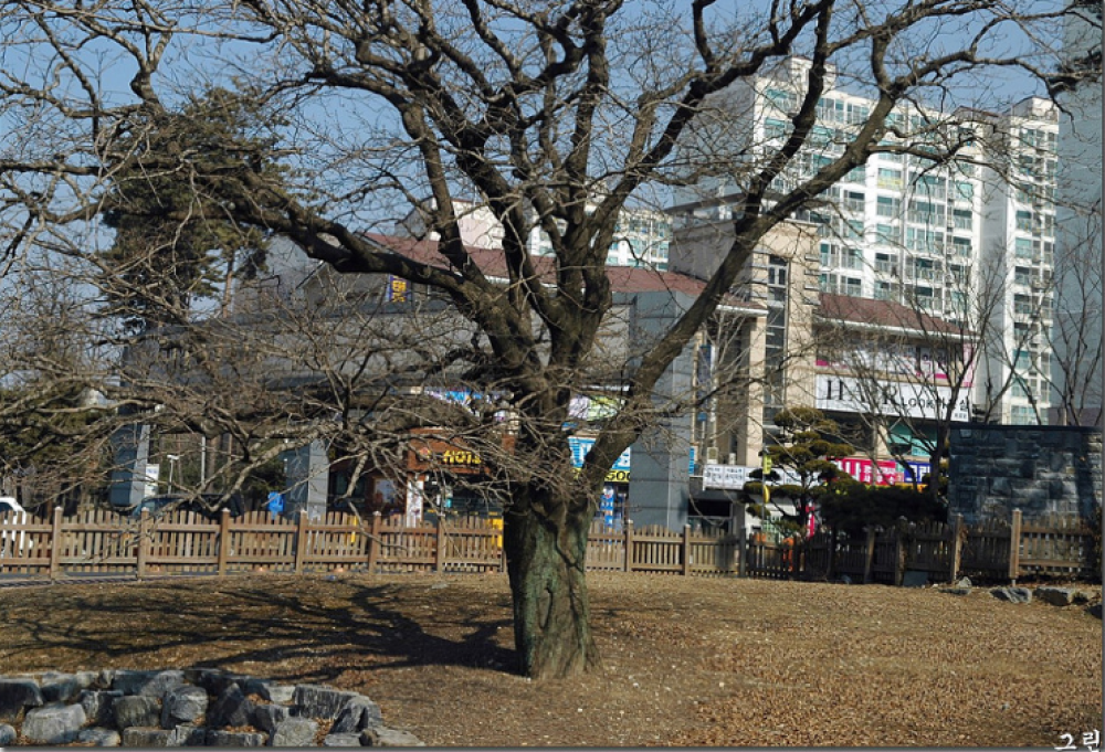 기도터 사진