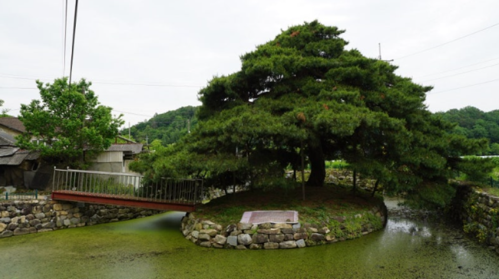 기도터 사진