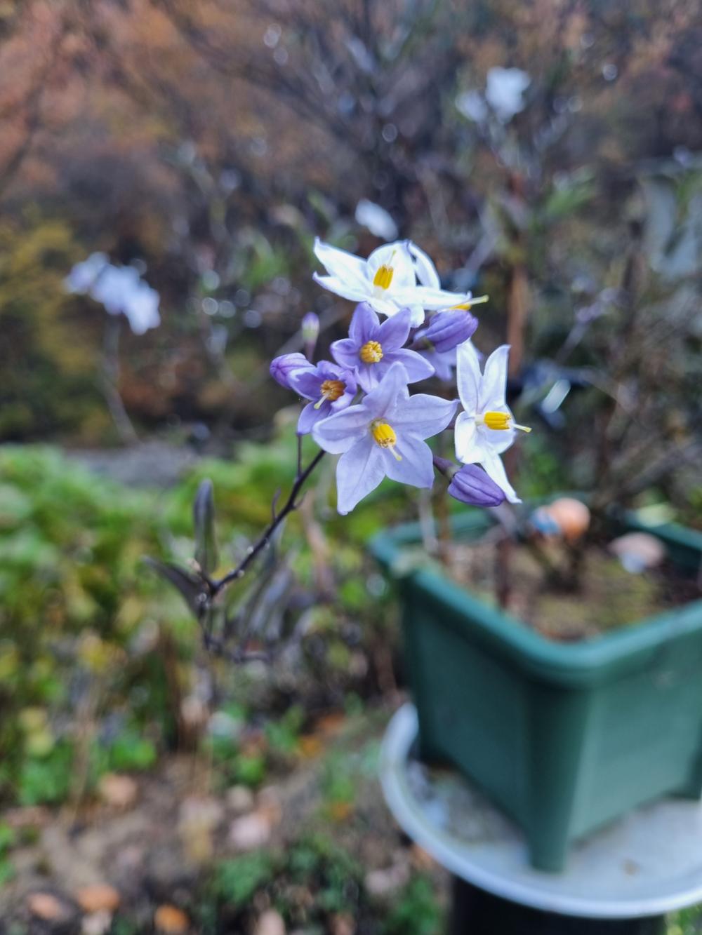 기도터 후기 사진