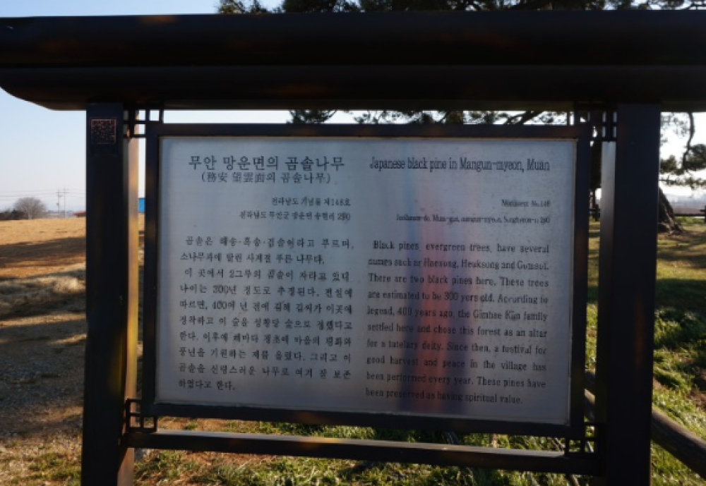 기도터 사진