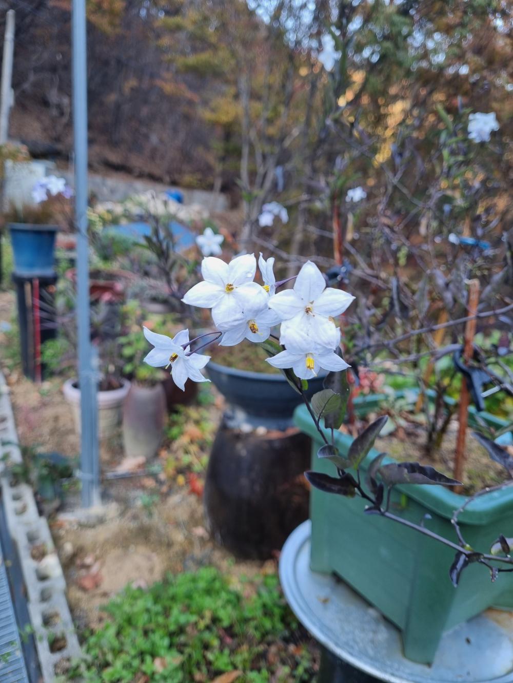 기도터 후기 사진