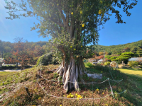 기도터 사진
