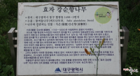 기도터 사진
