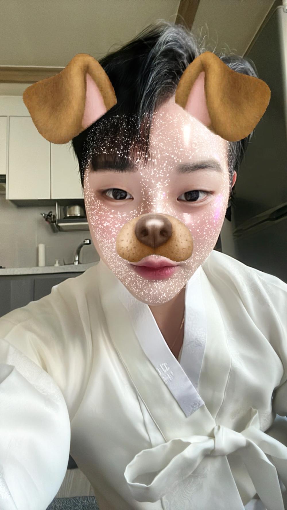 사진