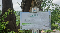 기도터 사진
