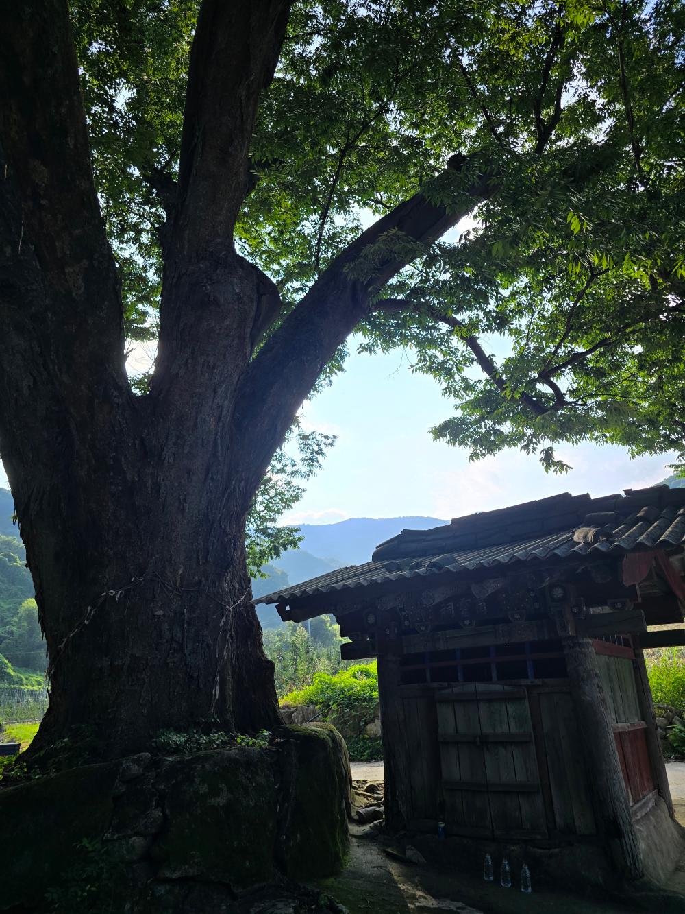 기도터 사진