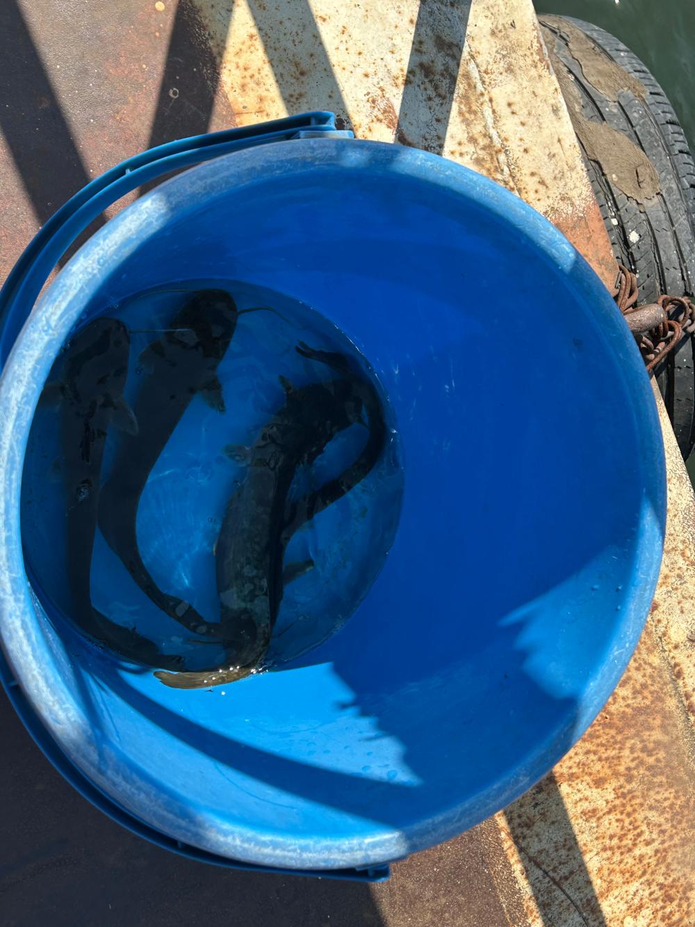 기도터 후기 사진