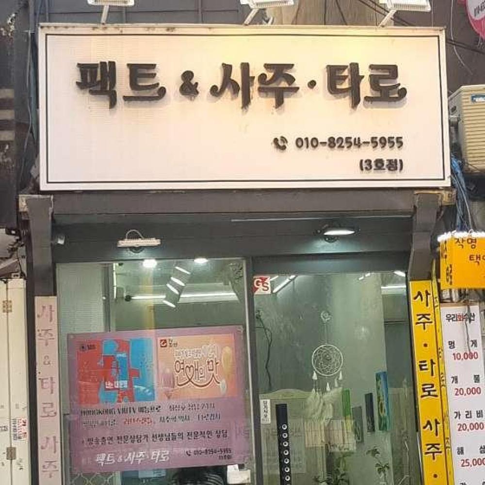팩트 사주&타로 사진 1