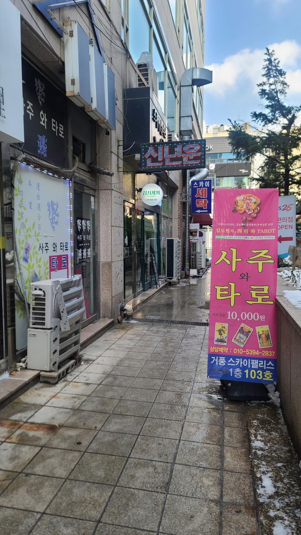 김도현사주타로