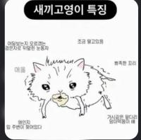 작성자 프로필