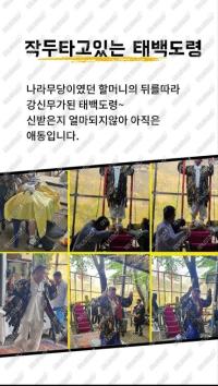 태백도령