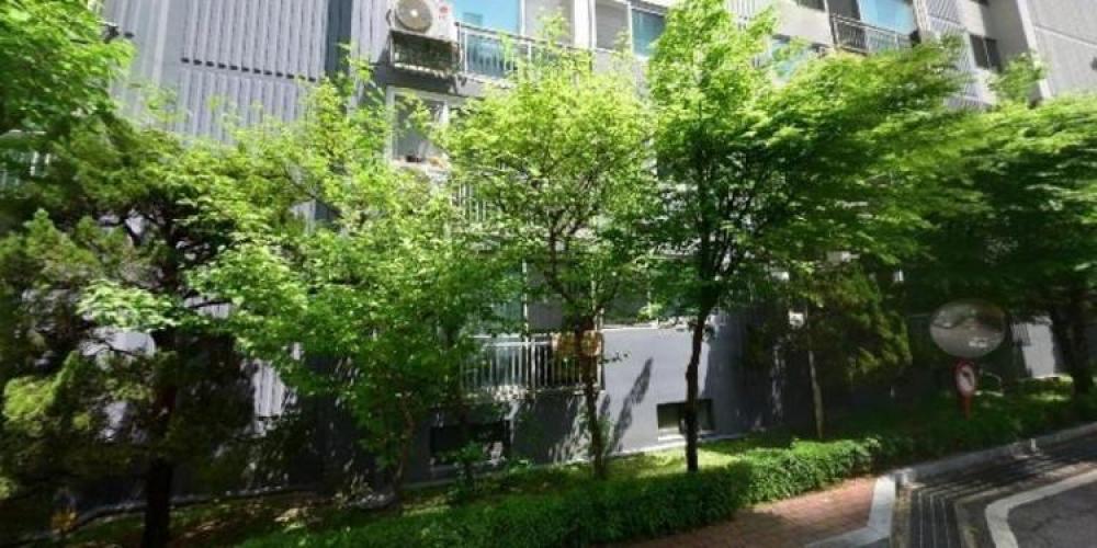 미래사주