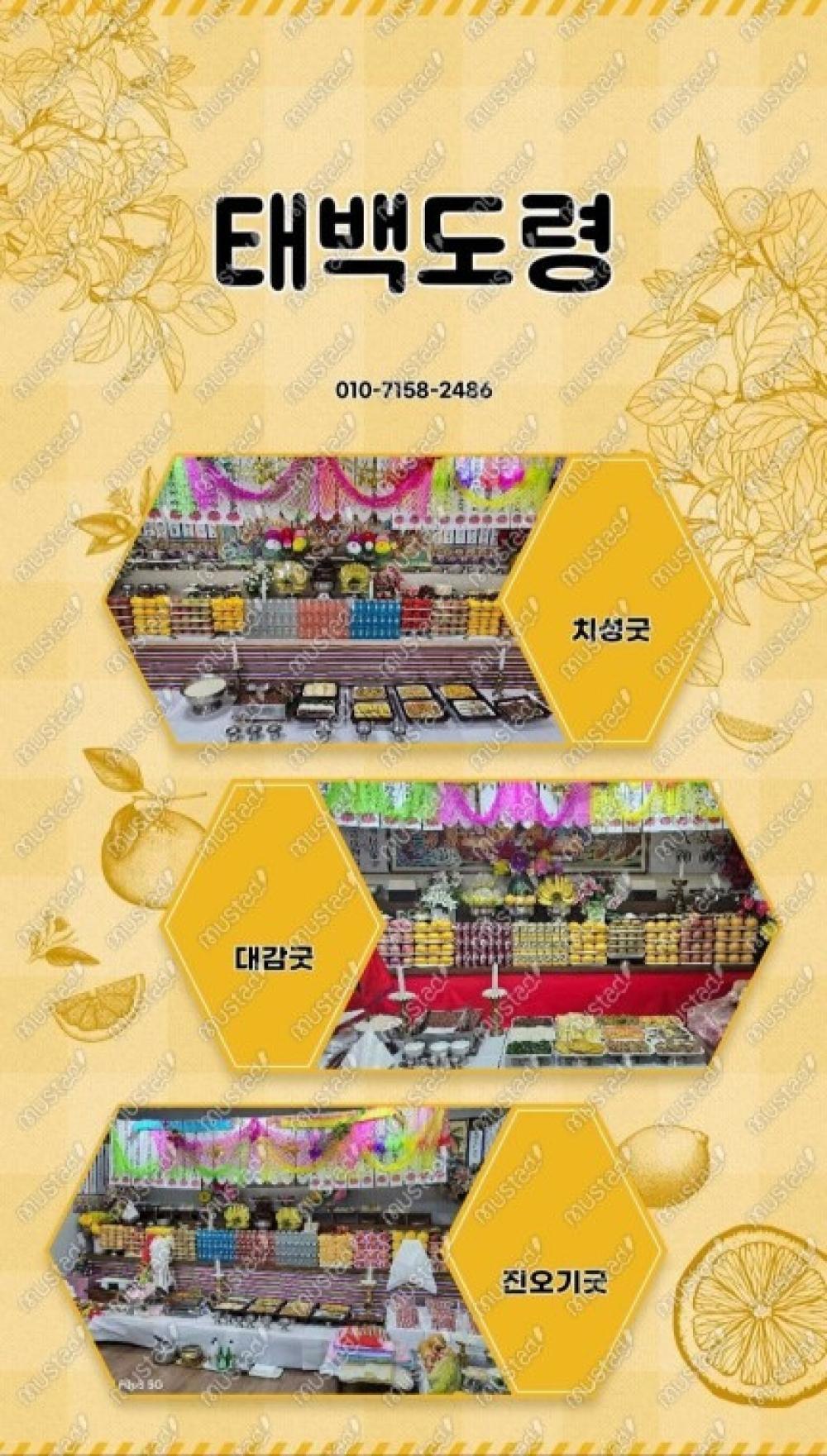 태백도령 사진 7