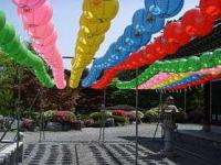 황룡사