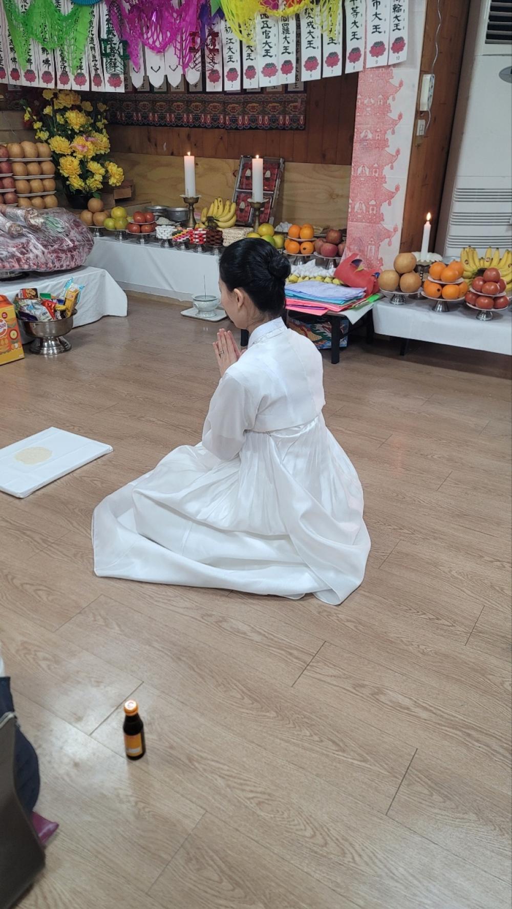 매화애기씨 사진 3