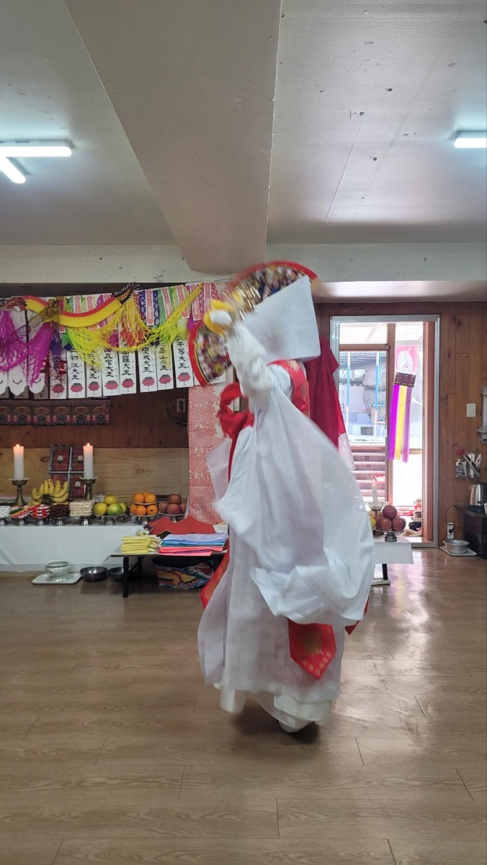 매화애기씨 사진 1