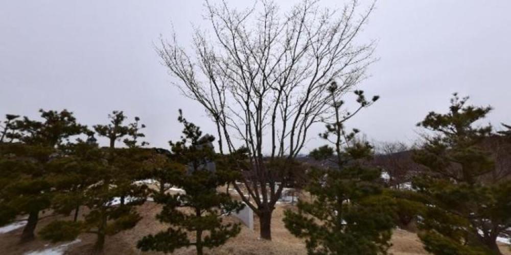 법룡사