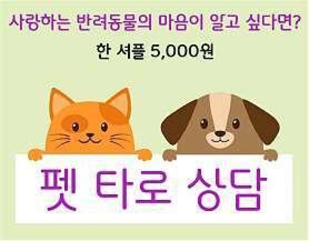 봄봄사주타로 사진 1