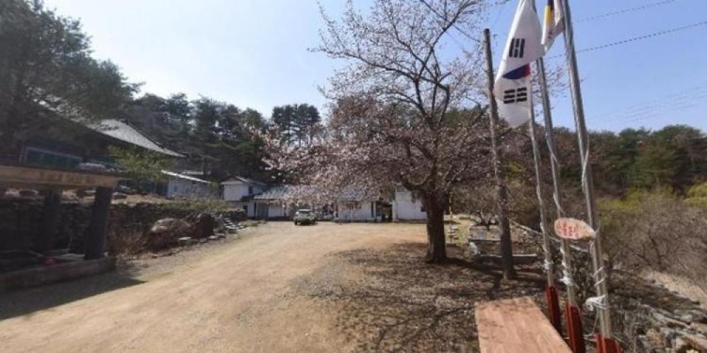 청룡사