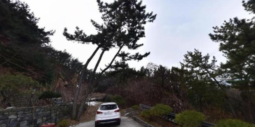 왕대사