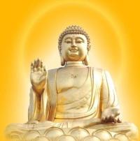 작성자 프로필