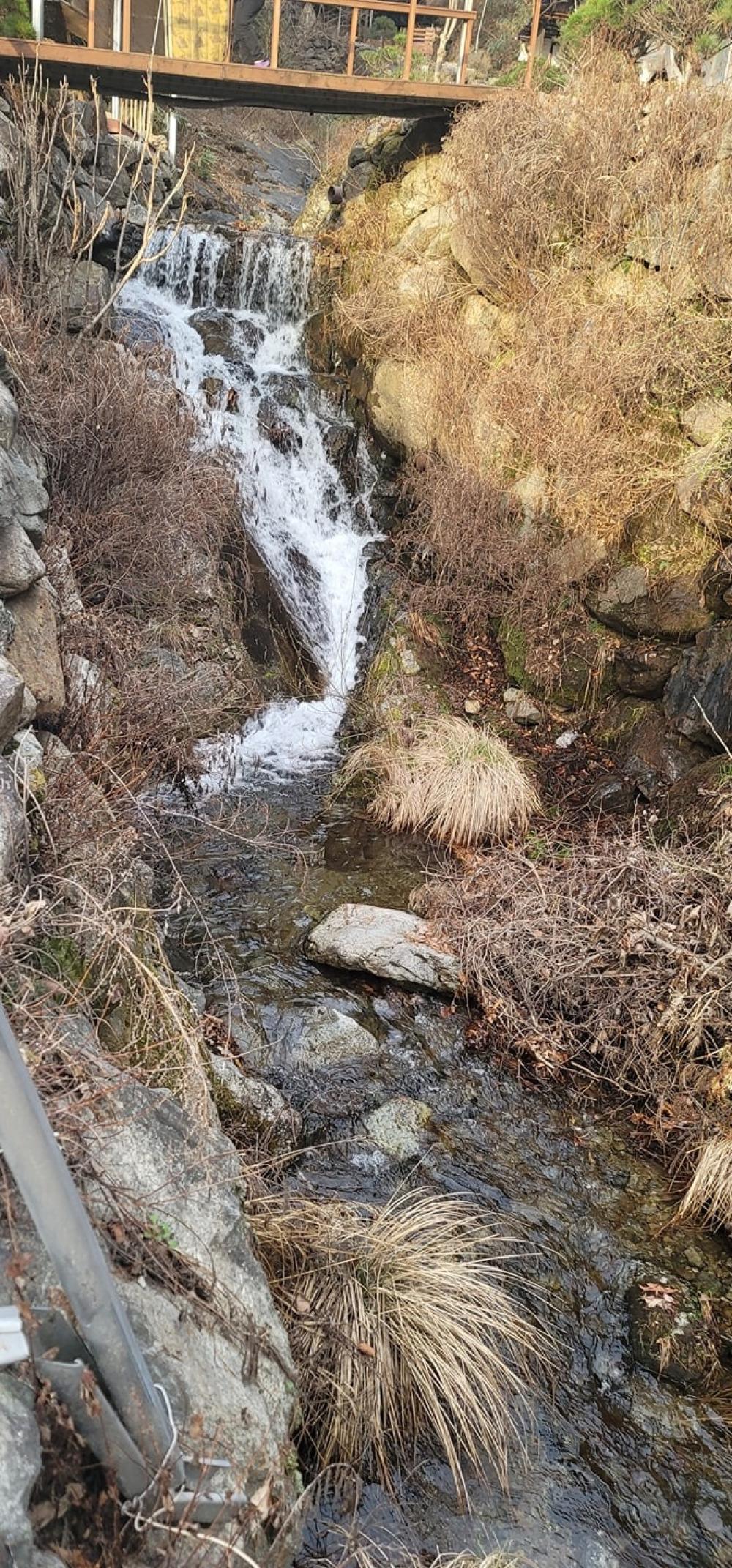 영아보살 사진 5