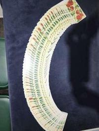 예지안사주타로 광안리점