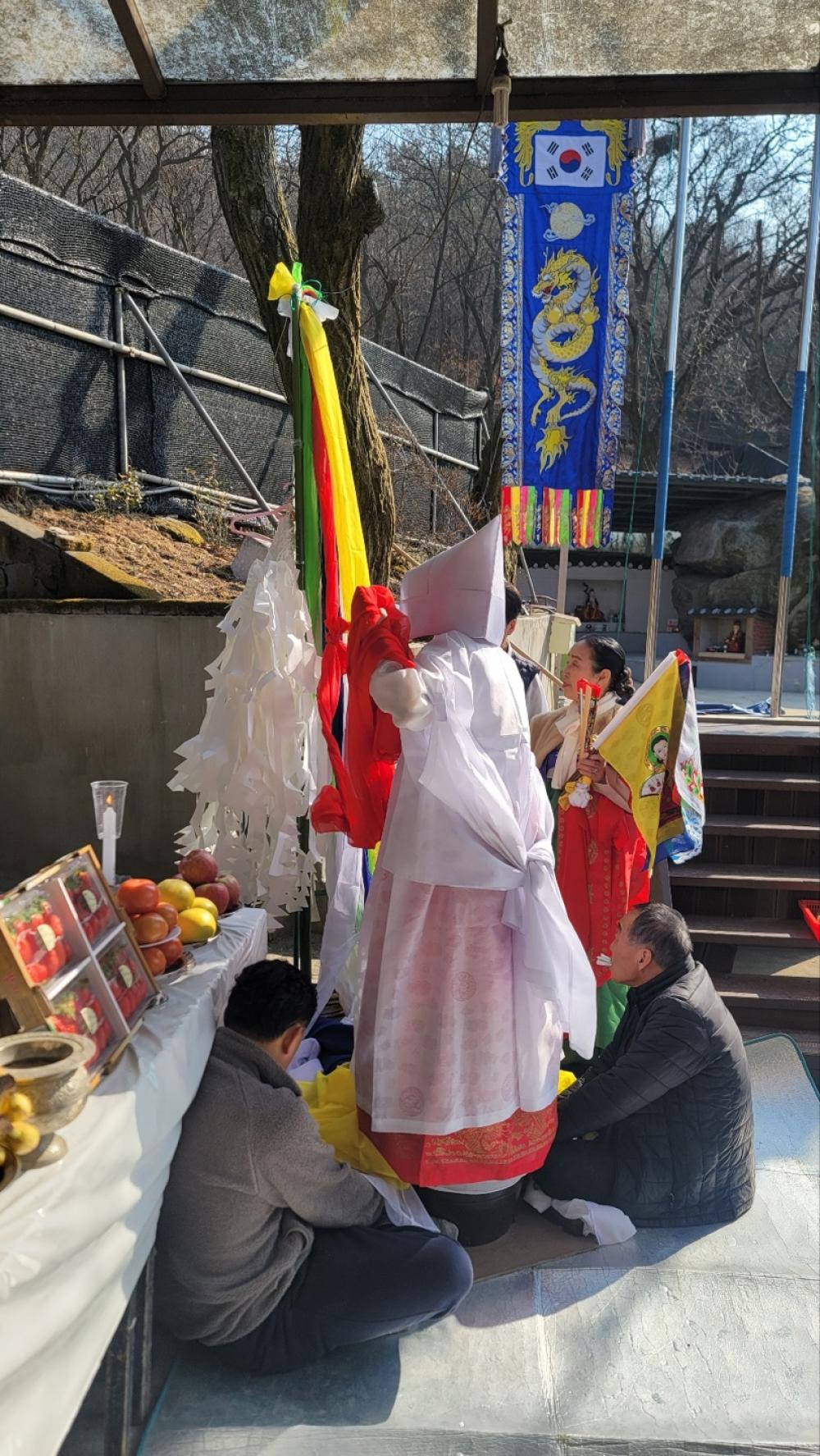 매화애기씨 사진 2