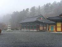 황룡사