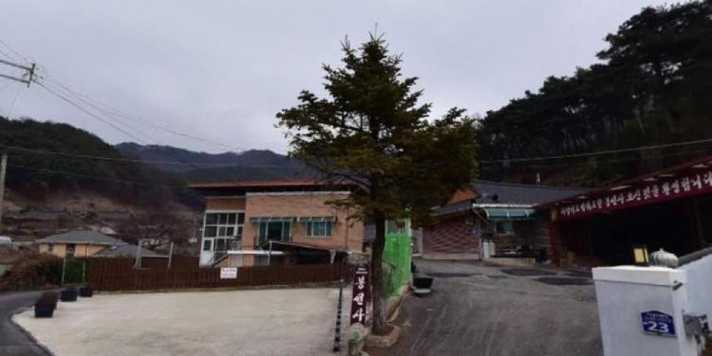 봉선사