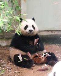 작성자 프로필