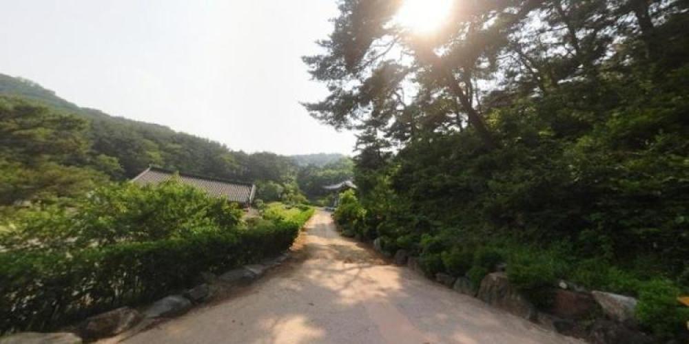 반룡사