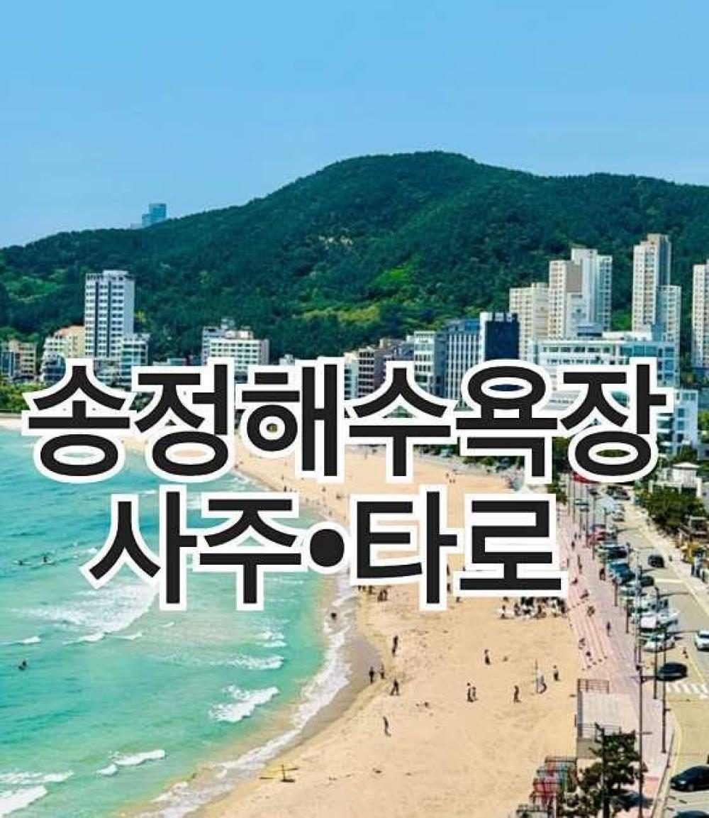 퀸 사주 & 타로 사진 1