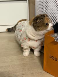 작성자 프로필