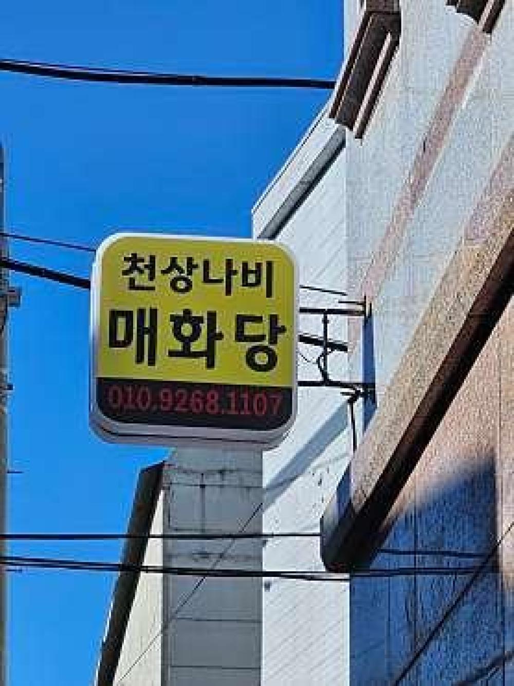 천상나비매화당