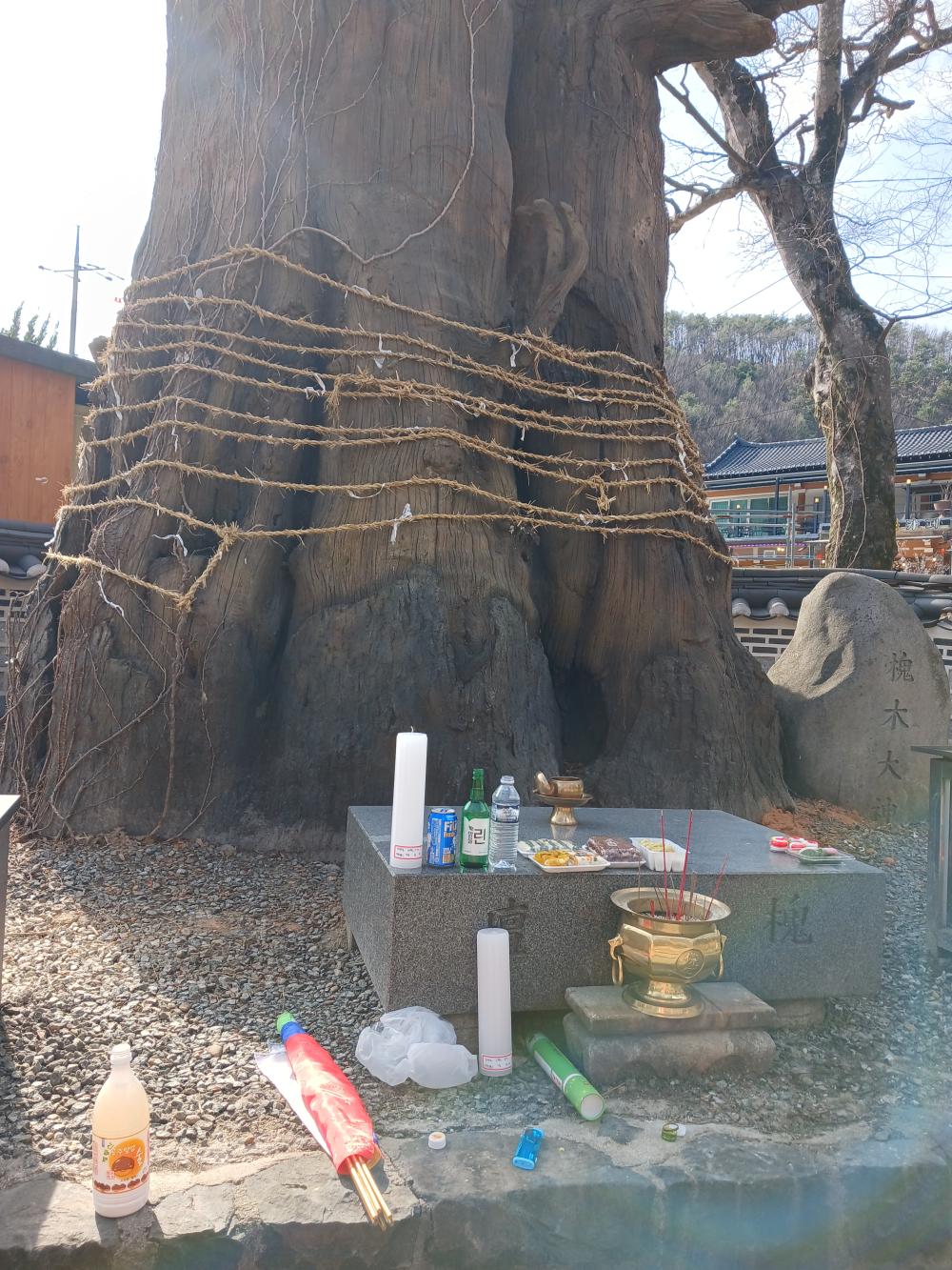 당진연화당연화아씨 사진 6