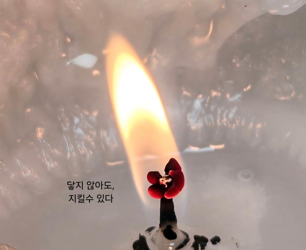 해월신당 사진 9