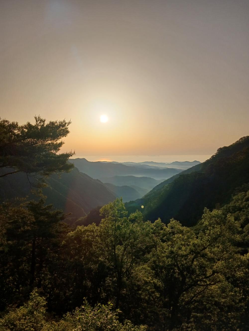 동백할머니 정현우 사진 1