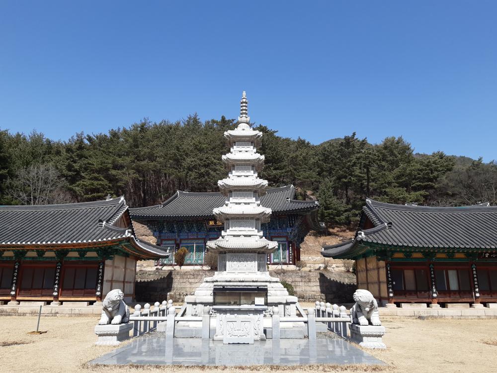 해수당 아씨 사진 5