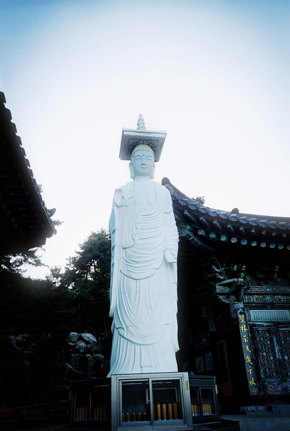 지니신타로 사진 3