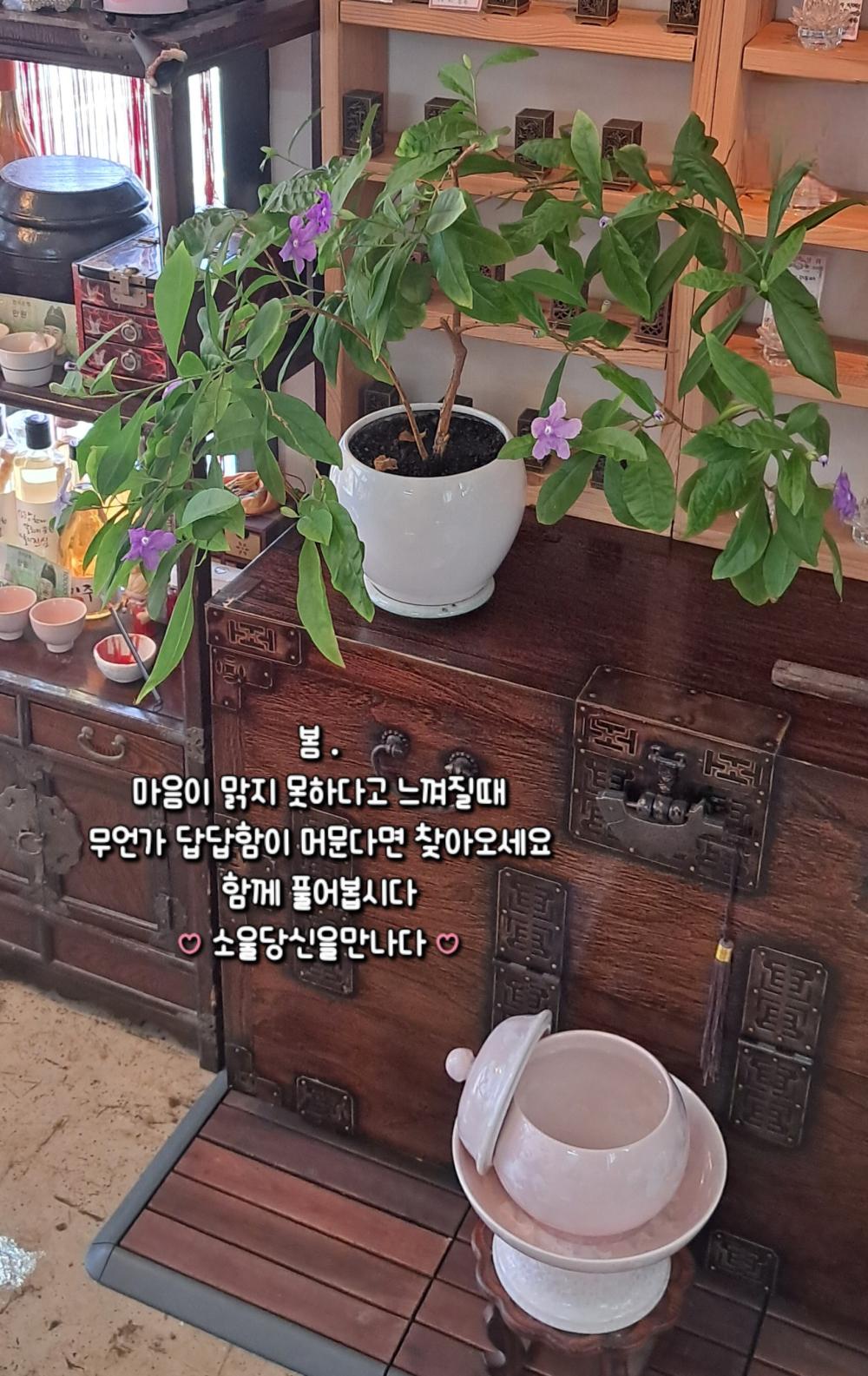 소울당신을만나다 사진 2