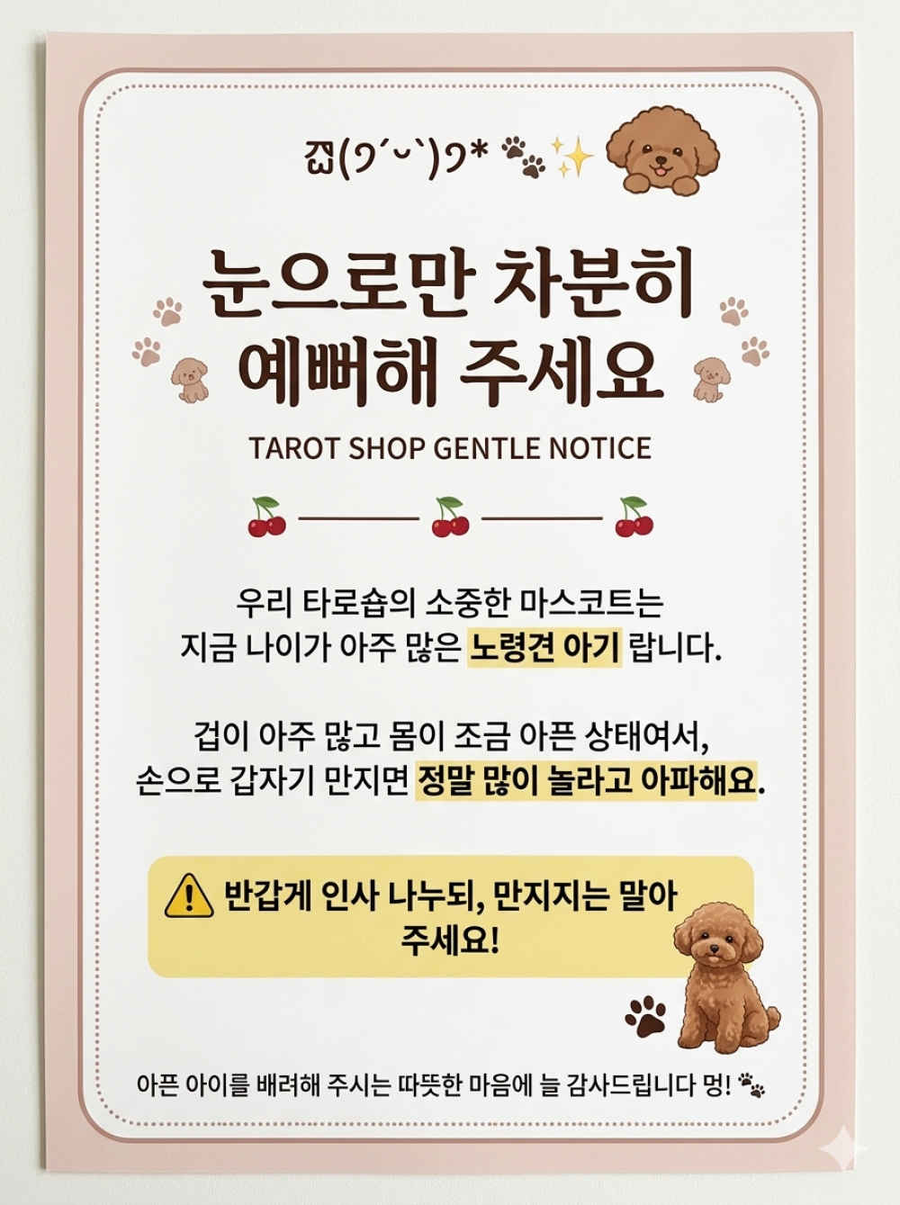 유니타로 사진 7