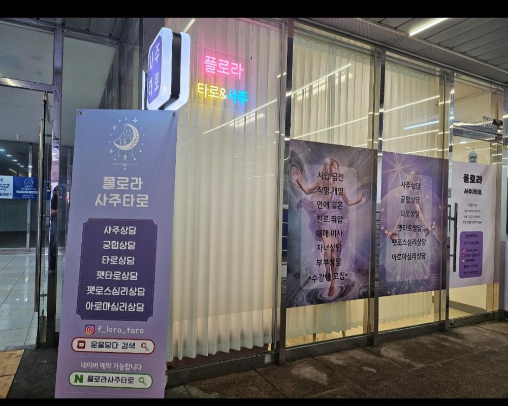 플로라사주타로 사진 5