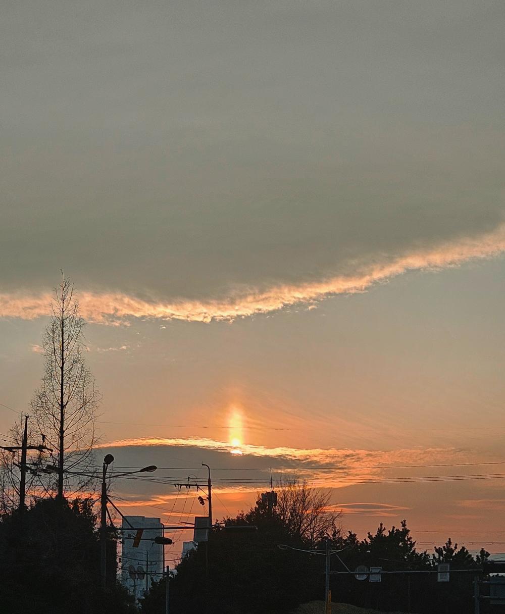 지니신타로 사진 5