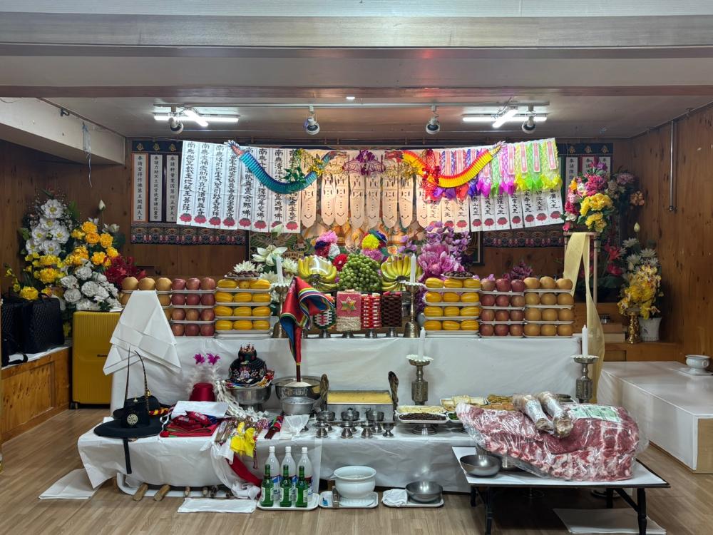 매화애기씨 사진 10