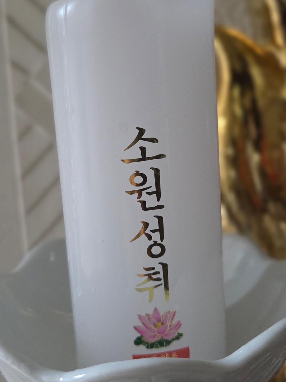 썬타로(신 타로) 사진 5